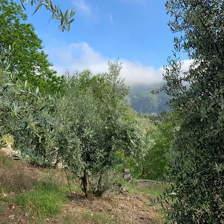 Portugal Mountain Splendour - Xisto Village Apartament Tarrastal