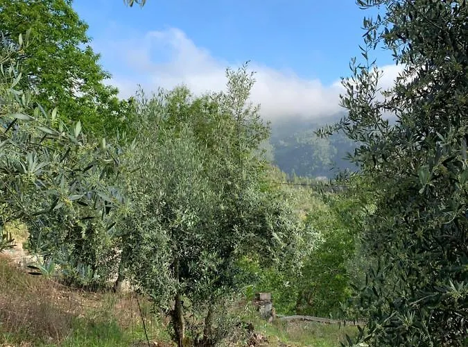 Portugal Mountain Splendour - Xisto Village Lejlighed Tarrastal